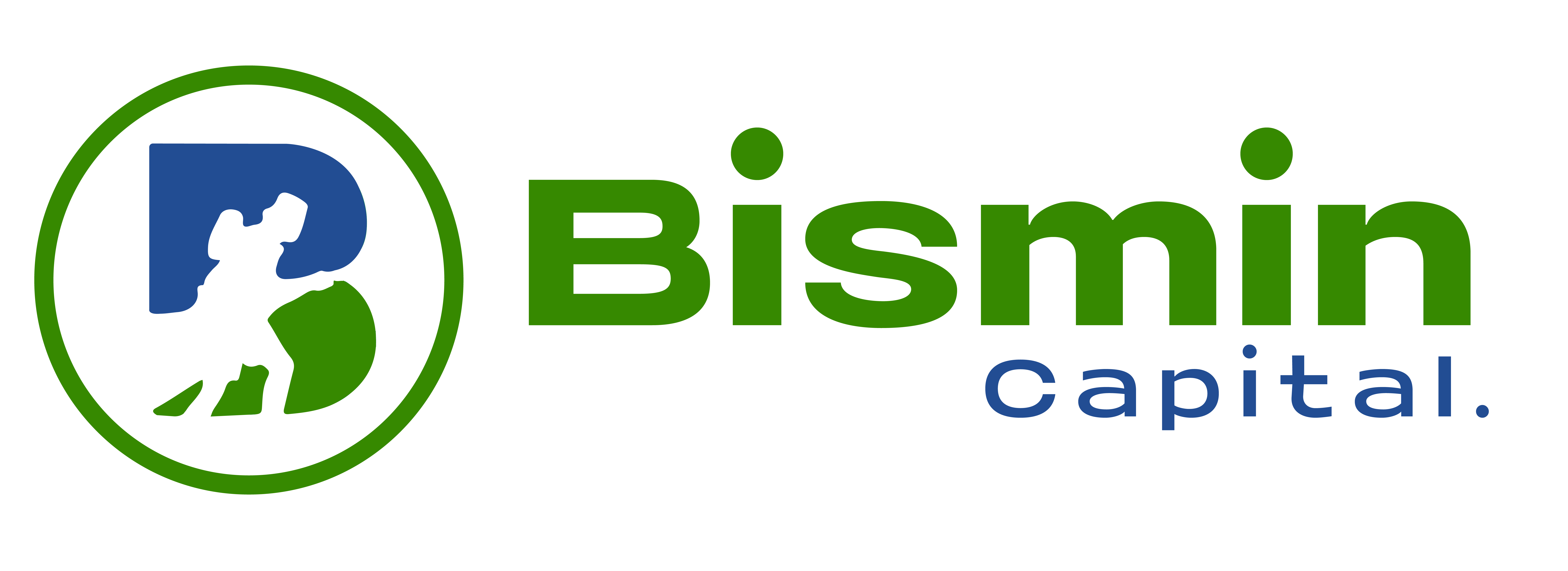 Bismin Capital Logo